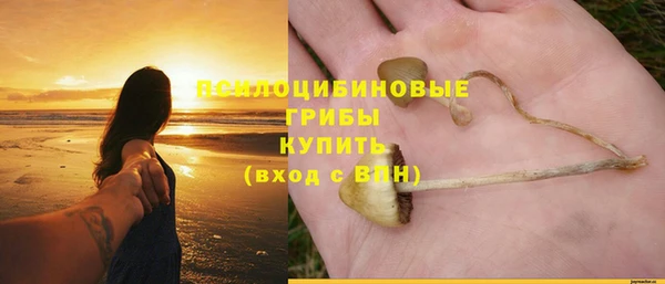 PSILOCYBIN Армянск
