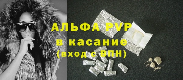 spice Аркадак