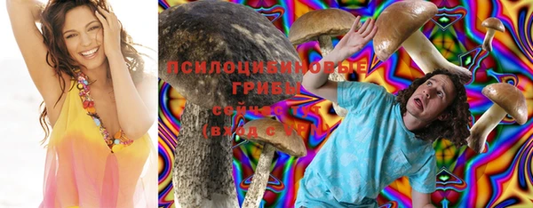 а пвп мука Арсеньев
