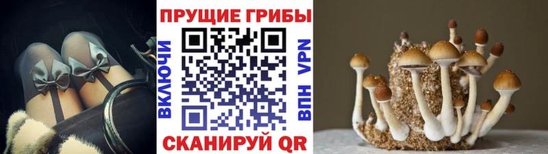 Галлюциногенные грибы ЛСД  Сафоново 